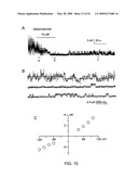 NOVEL NON-SELECTIVE CATION CHANNEL IN NEURONAL CELLS AND METHOD FOR TREATING BRAIN SWELLING diagram and image