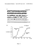 NOVEL NON-SELECTIVE CATION CHANNEL IN NEURONAL CELLS AND METHOD FOR TREATING BRAIN SWELLING diagram and image