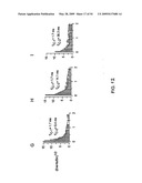 NOVEL NON-SELECTIVE CATION CHANNEL IN NEURONAL CELLS AND METHOD FOR TREATING BRAIN SWELLING diagram and image