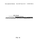 NOVEL NON-SELECTIVE CATION CHANNEL IN NEURONAL CELLS AND METHOD FOR TREATING BRAIN SWELLING diagram and image