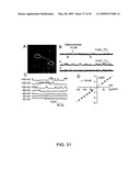 NOVEL NON-SELECTIVE CATION CHANNEL IN NEURONAL CELLS AND METHOD FOR TREATING BRAIN SWELLING diagram and image