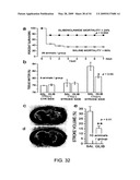 NOVEL NON-SELECTIVE CATION CHANNEL IN NEURONAL CELLS AND METHOD FOR TREATING BRAIN SWELLING diagram and image