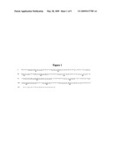 RAB9 PROTEIN CRYSTAL STRUCTURES AND METHODS FOR IDENTIFYING RAB9 MODULATORS diagram and image