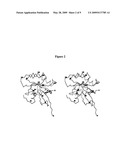 RAB9 PROTEIN CRYSTAL STRUCTURES AND METHODS FOR IDENTIFYING RAB9 MODULATORS diagram and image