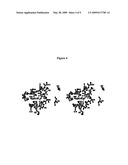 RAB9 PROTEIN CRYSTAL STRUCTURES AND METHODS FOR IDENTIFYING RAB9 MODULATORS diagram and image