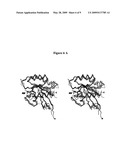 RAB9 PROTEIN CRYSTAL STRUCTURES AND METHODS FOR IDENTIFYING RAB9 MODULATORS diagram and image