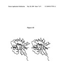 RAB9 PROTEIN CRYSTAL STRUCTURES AND METHODS FOR IDENTIFYING RAB9 MODULATORS diagram and image