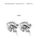 RAB9 PROTEIN CRYSTAL STRUCTURES AND METHODS FOR IDENTIFYING RAB9 MODULATORS diagram and image