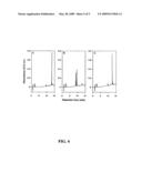 Crystal structure of human coronavirus 229E main proteinase and uses for developing SARS inhibitors diagram and image