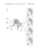 Medical or veterinary digestive tract utilization systems and methods diagram and image