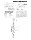 Filter for Thrombus Capture Catheter diagram and image