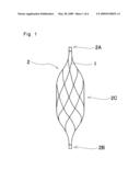 Filter for Thrombus Capture Catheter diagram and image