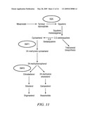 MODIFICATION OF PLANT DISEASE RESISTANCE diagram and image