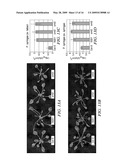 MODIFICATION OF PLANT DISEASE RESISTANCE diagram and image