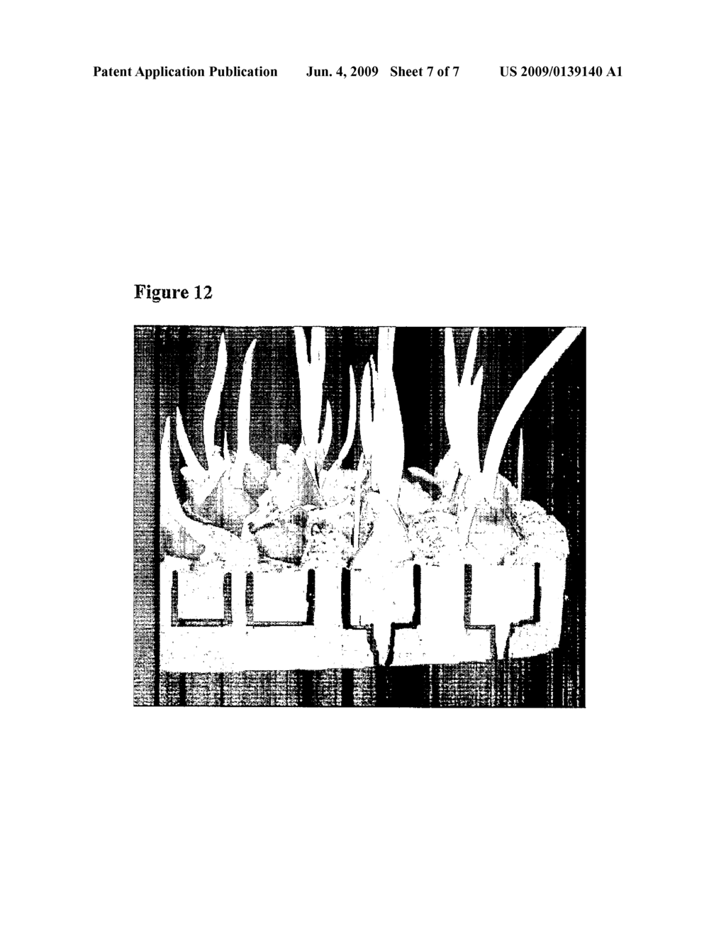 METHOD AND DEVICE TO GROW BULB-CROPS - diagram, schematic, and image 08