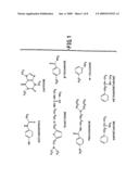 NOVEL ION EXCHANGE POROUS RESINS FOR SOLID PHASE EXTRACTION AND CHROMATOGRAPHY diagram and image