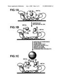 PROCESS FOR PRODUCING A CARRIER diagram and image