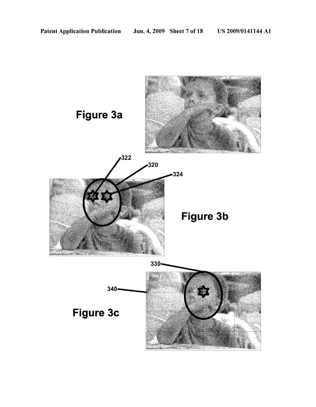 Digital Image Adjustable Compression and Resolution Using Face Detection Information - diagram, schematic, and image 08