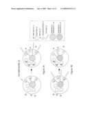 Intracellular nanosensors and methods for their introduction into cells diagram and image