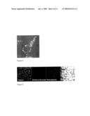 Intracellular nanosensors and methods for their introduction into cells diagram and image