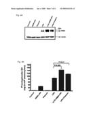 Use of inactive-plasmin to treat chronic inflammatory disease and tumors diagram and image