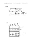 Use of inactive-plasmin to treat chronic inflammatory disease and tumors diagram and image