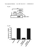 Use of inactive-plasmin to treat chronic inflammatory disease and tumors diagram and image