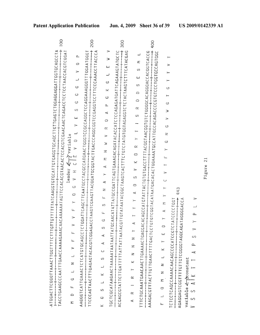 Humanized Anti-CCR2 Antibodies and Methods of Use Therefor - diagram, schematic, and image 37