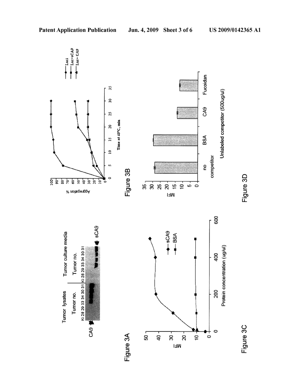 COMPOSITIONS AND METHODS FOR USING CA9 PROTEIN TO STIMULATE AN IMMUNE RESPONSE - diagram, schematic, and image 04