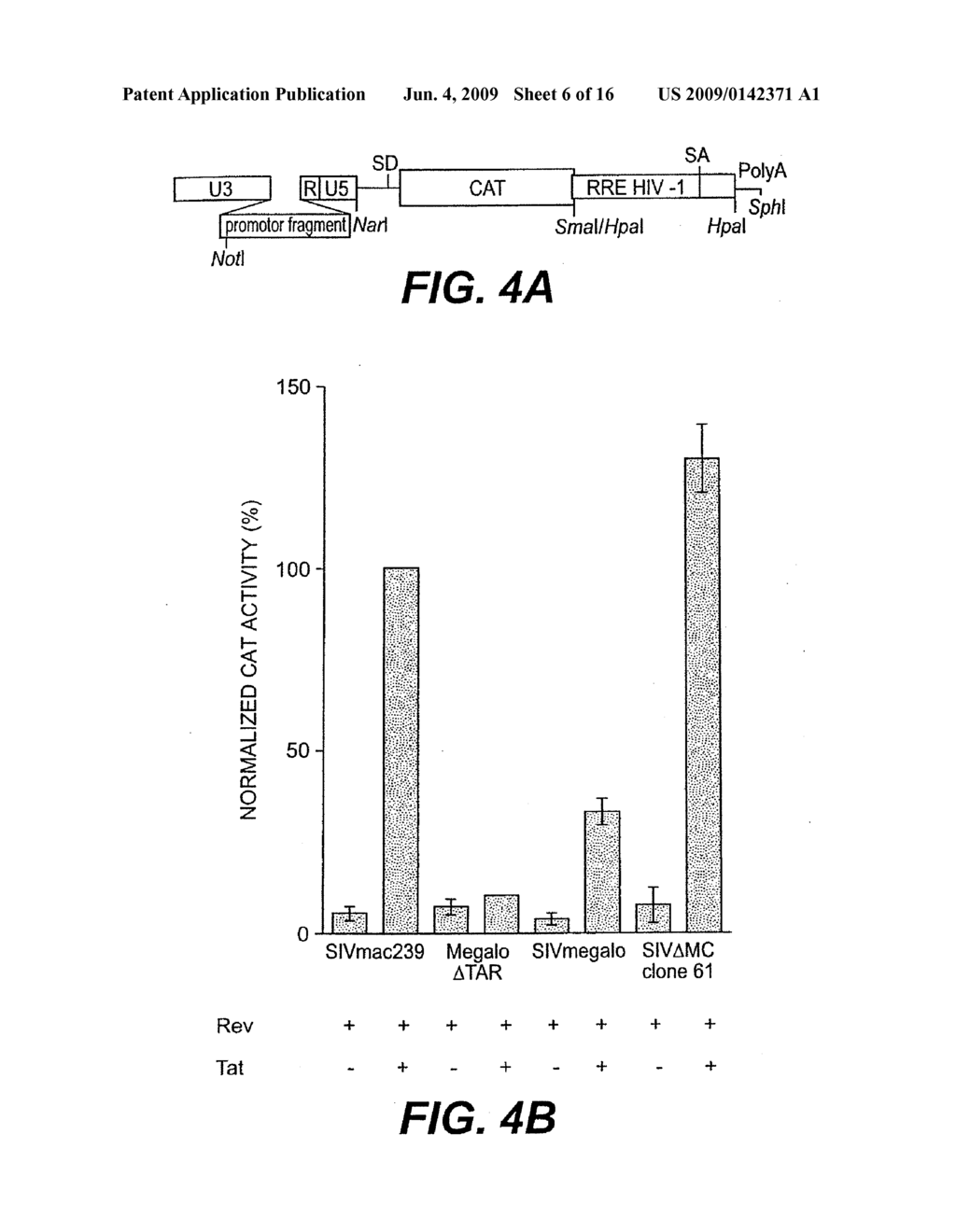 HIV RECOMBINANT VACCINE - diagram, schematic, and image 07