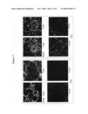 Nanoparticles for protein drug delivery diagram and image