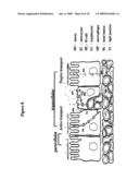 Nanoparticles for protein drug delivery diagram and image