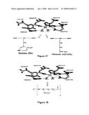 Nanoparticles for protein drug delivery diagram and image