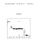 ACTIVE FRACTION OF A POLAR SOLVENT EXTRACT FROM THE LATEX OF EUPHORBIACEAE PLANTS diagram and image