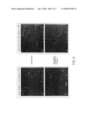 Protective Film Structure of Metal Member, Metal Component Employing Protective Film Structure, and Equipment for Producing Semiconductor or Flat-Plate Display Employing Protective Film Structure diagram and image