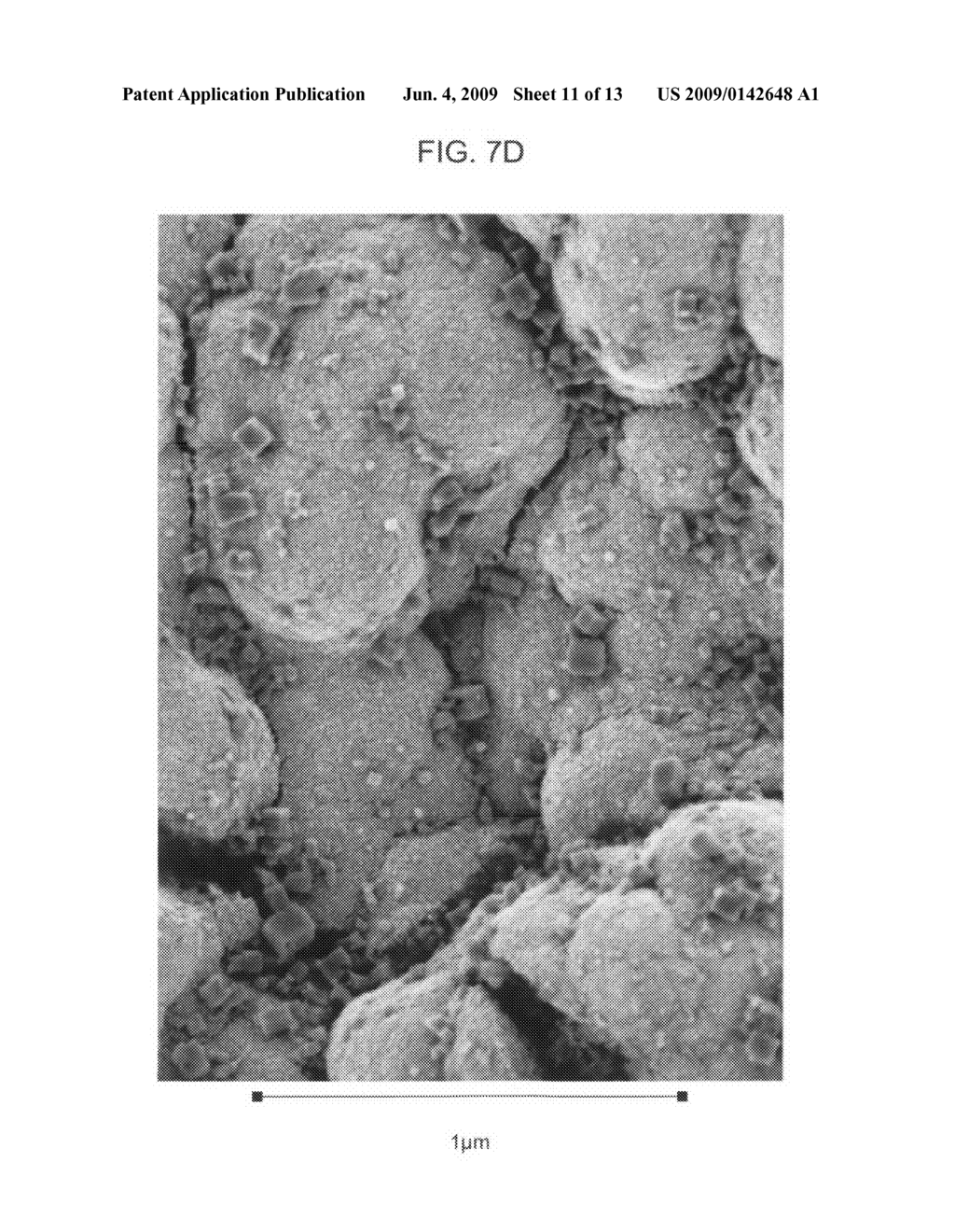 Thin film glass composite catalyst electrode - diagram, schematic, and image 12