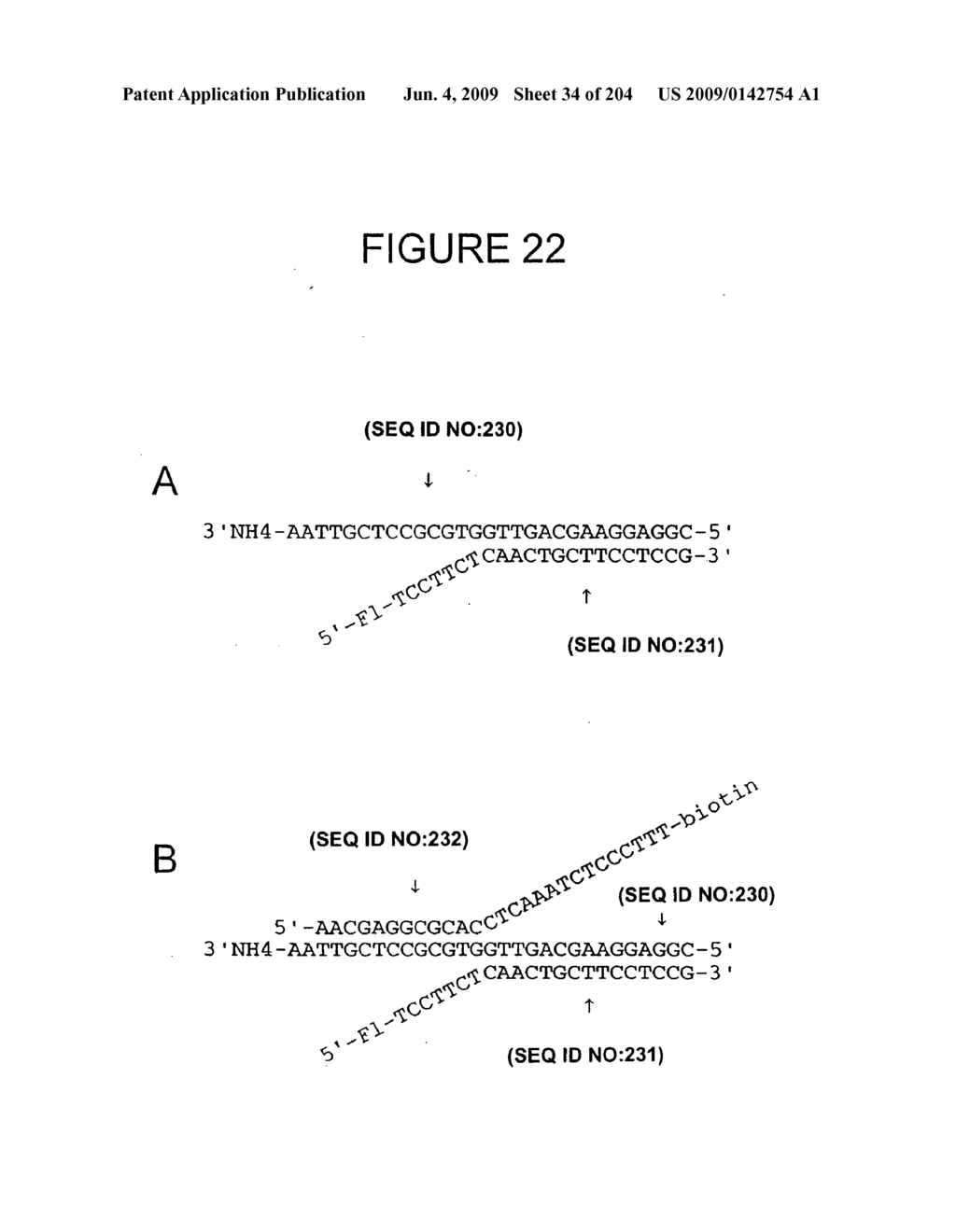 RNA Detection Assays - diagram, schematic, and image 36