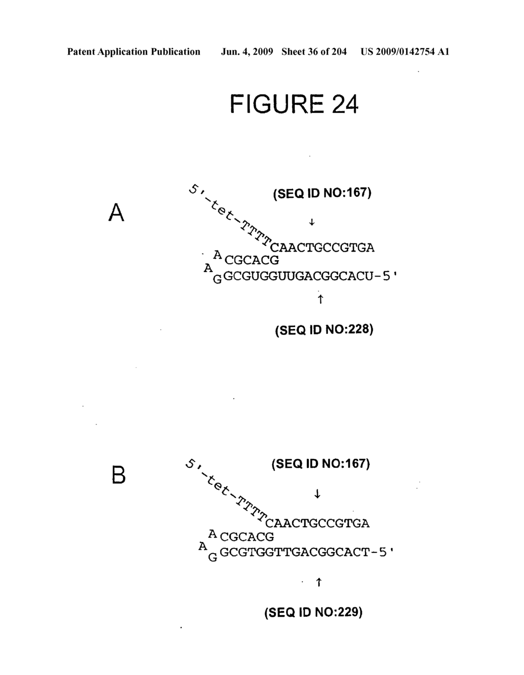 RNA Detection Assays - diagram, schematic, and image 38