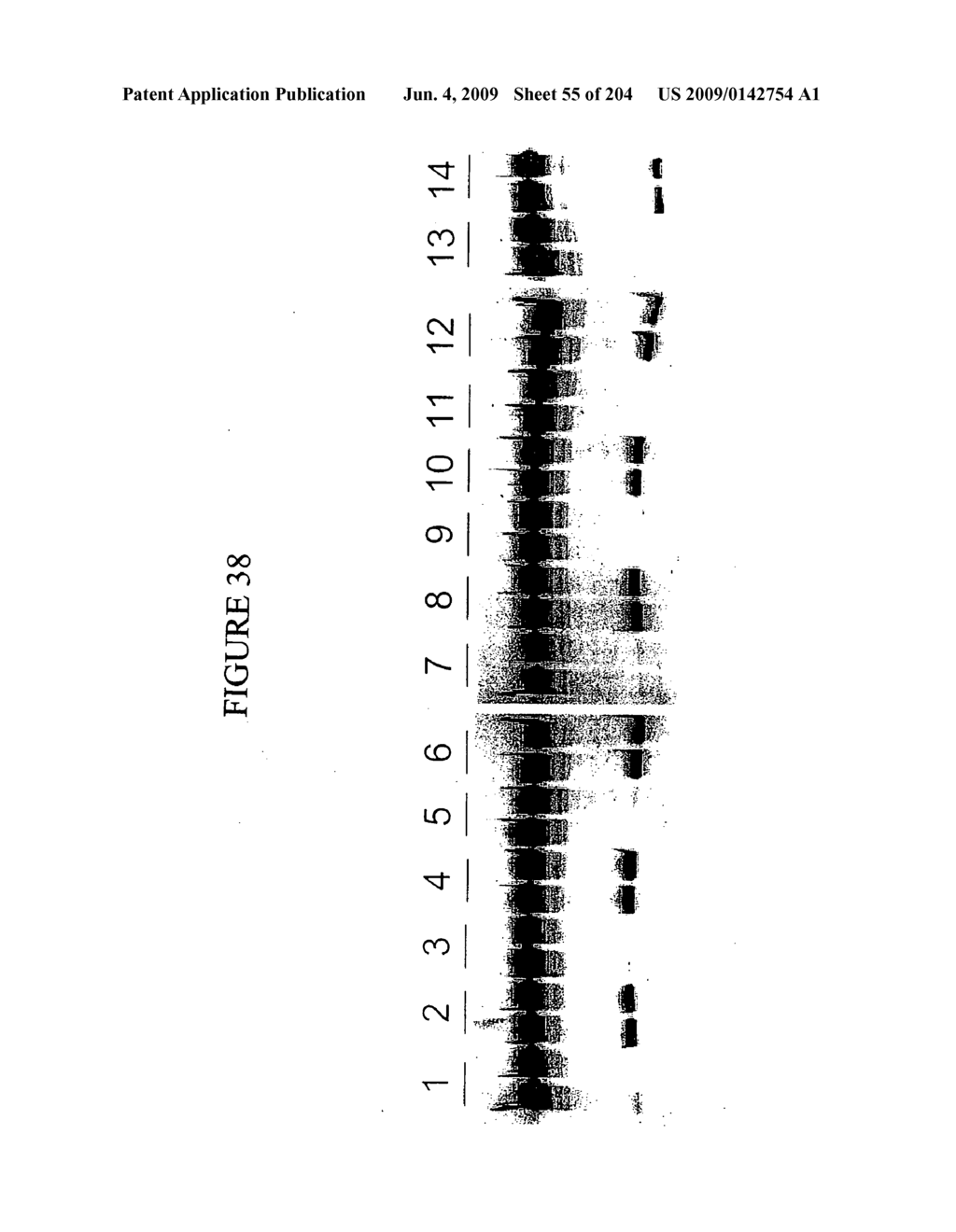 RNA Detection Assays - diagram, schematic, and image 57