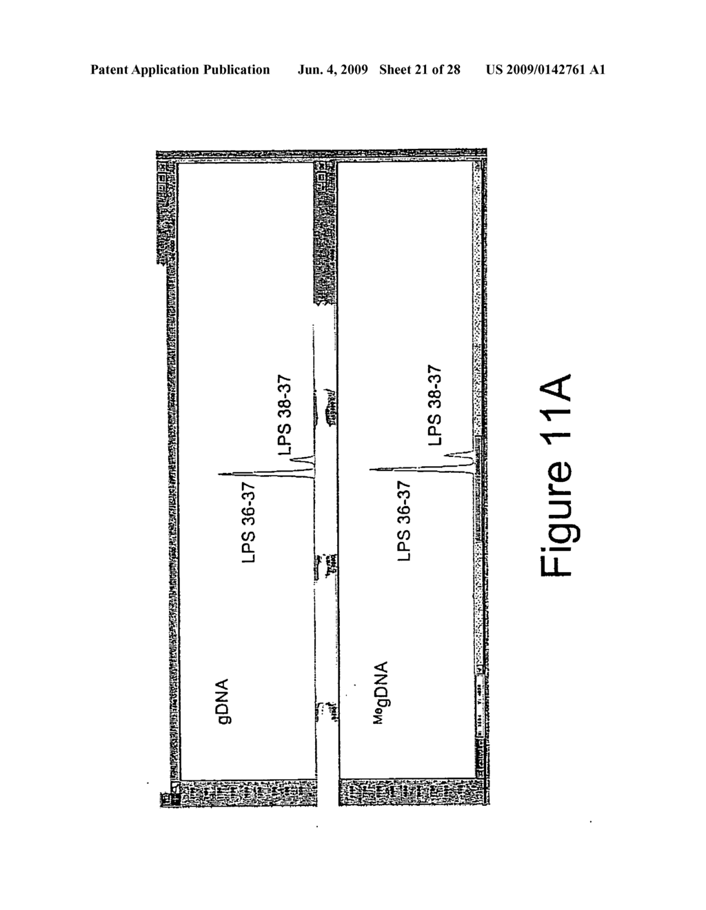 METHODS AND KITS FOR METHYLATION DETECTION - diagram, schematic, and image 22