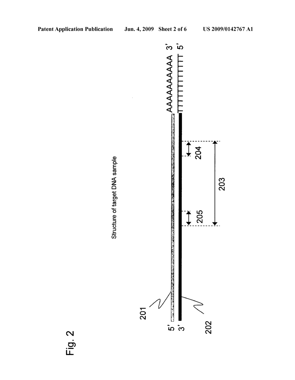 Method for nucleic acid quantitation - diagram, schematic, and image 03