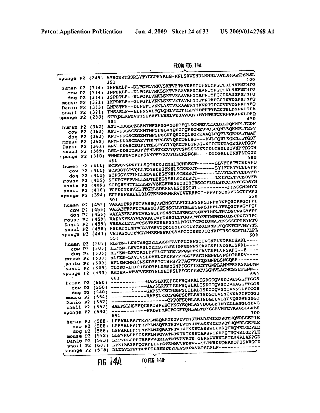 PERFORIN-2 PROTEINS - diagram, schematic, and image 25