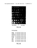 Devices and Methods for the Detection of Analytes diagram and image