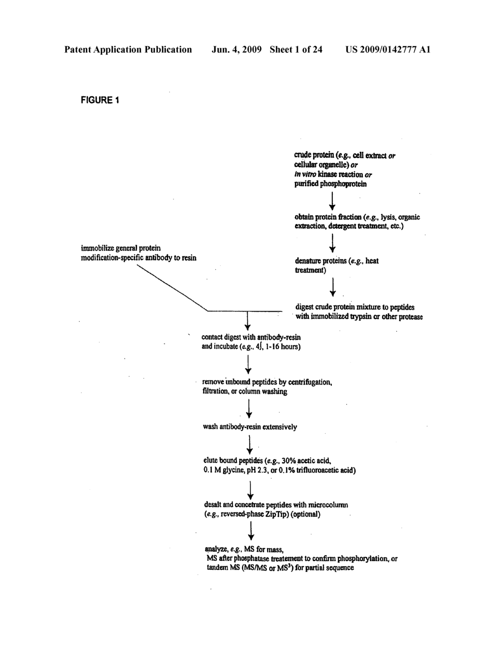 Reagents for the detection of protein phosphorylation in leukemia signaling pathways - diagram, schematic, and image 02