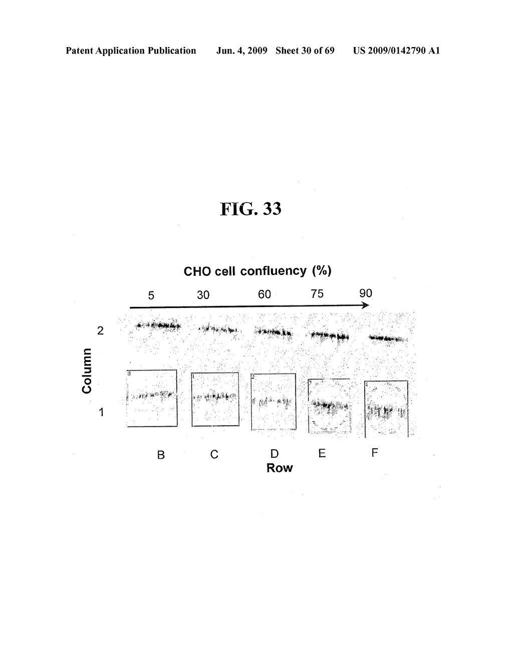 Label Free Biosensors and Cells - diagram, schematic, and image 31