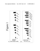 INTERLEUKIN-17F ANTIBODIES AND OTHER IL-17F SIGNALING ANTAGONISTS AND USES THEREFOR diagram and image