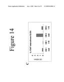 INTERLEUKIN-17F ANTIBODIES AND OTHER IL-17F SIGNALING ANTAGONISTS AND USES THEREFOR diagram and image