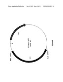 Discovery, Cloning and Purification of Thermococccus sp. (Strain 9 Degrees N-7) Dna Ligase diagram and image