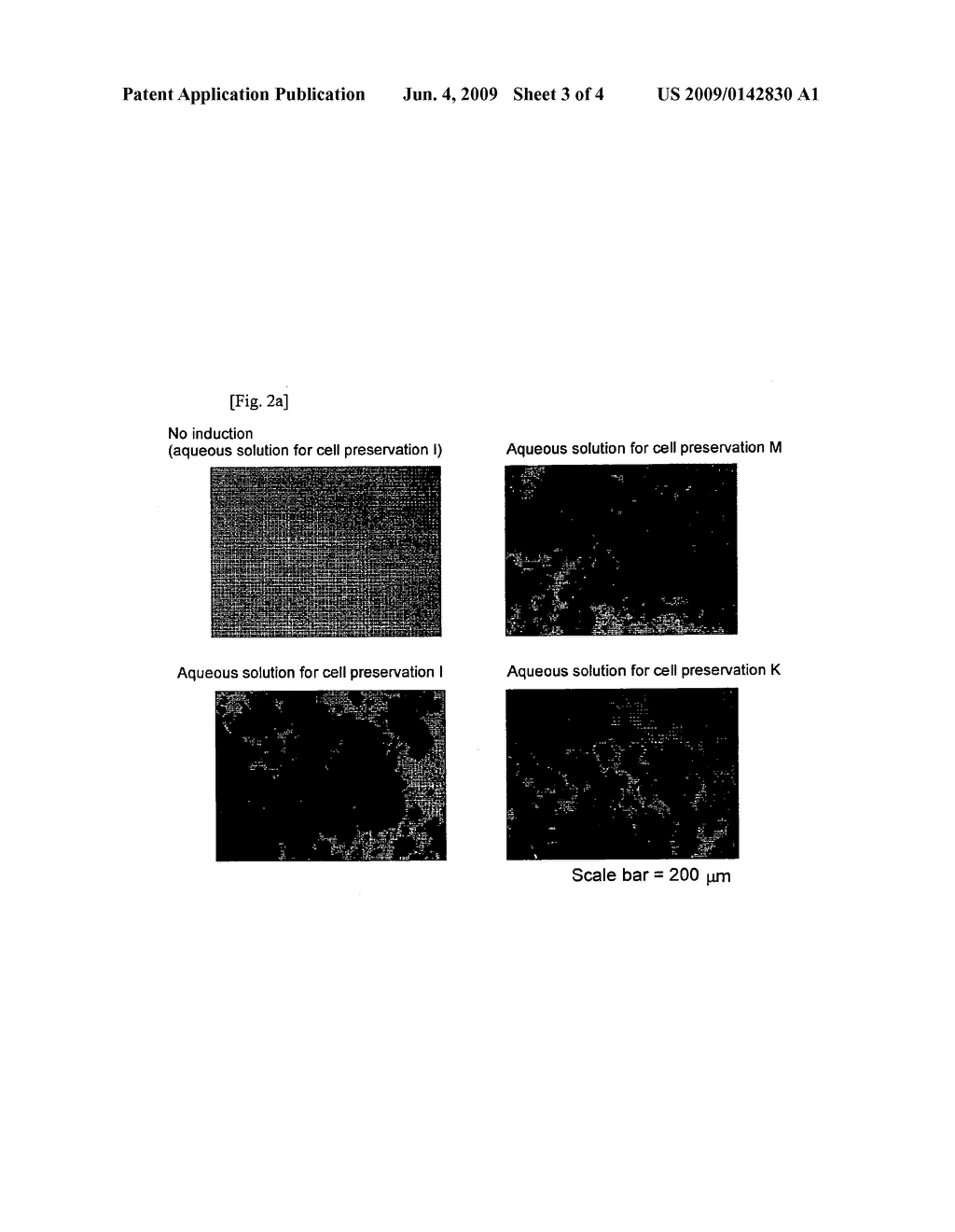 Aqueous Solution for Cell Preservation - diagram, schematic, and image 04