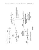 CLEAVABLE MODIFICATIONS TO REDUCIBLE POLY(AMIDO ETHYLENIMINE)S TO ENHANCE NUCLEOTIDE DELIVERY diagram and image